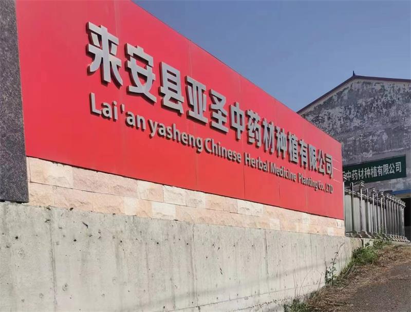 来安县老科协三农工委,医卫工委开展中药材产业发展情况调研活动