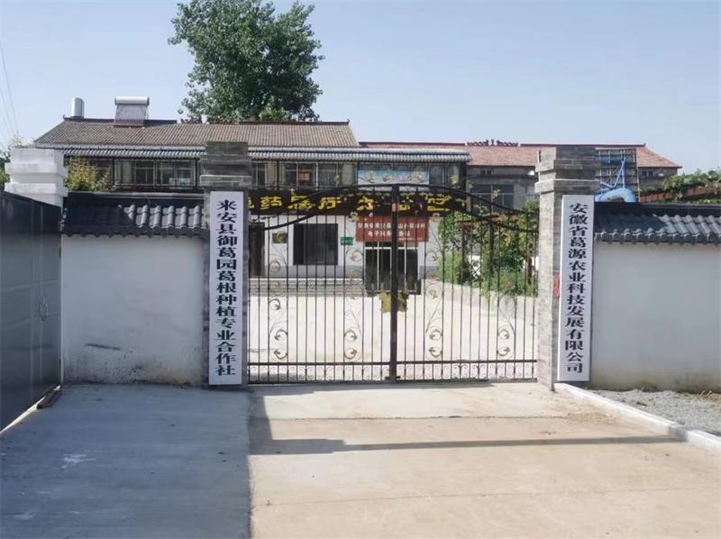 来安县老科协三农工委,医卫工委开展中药材产业发展情况调研活动