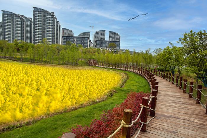 缪瑞荣一行赴华侨城—欢乐明湖康养小镇考察调研 - 滁州市老科技工作